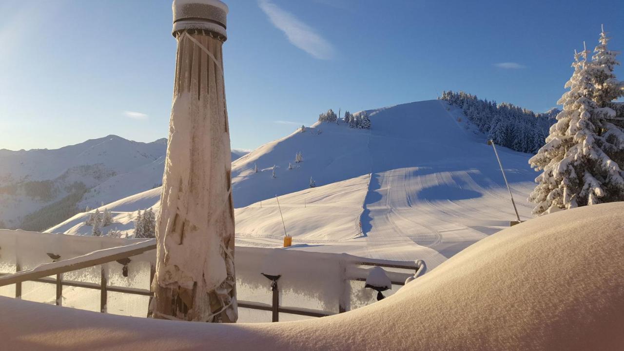 Berggasthof Schatzbergalm Thierbach Exteriér fotografie