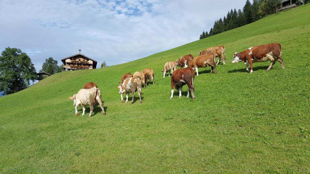 Berggasthof Schatzbergalm Thierbach Exteriér fotografie